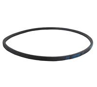 Greenstar 610638 - Cinghia liscia