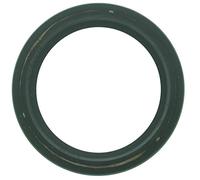 Greenstar, 7343, SPI GreenStar 7343 Guarnizione per Tecumseh