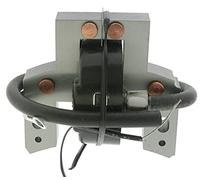 GREENSTAR - Bobina di Accensione Classica Adattabile Per Motori BRIGGS & STRATTON 5 CV, 10 & 13 CV Verticali (interasse 59 mm) - Sostituisce Parte Origine 298316