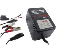 GREENSTAR - Caricabatterie automatico Excel' Ricarica - Batterie piombo/acido 3A-39A 6V/12V - 3 cavi adattatori (spinotti coccodrilli, occhielli, prese estraibili) - Tensione di rete 220-240V