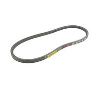 GREENSTAR - Cinghia liscia Z28 - Sezione 10 x 6 mm - Lunghezza esterna 748 mm - Facilità di sostituzione - Resistente e durevole