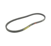 GREENSTAR - Cinghia liscia Z31 - Sezione 10 x 6 mm - Lunghezza esterna 828 mm - Facilità di ricambio - Resistente e durevole - Sostituisce parti originali di riferimento AYP 196853