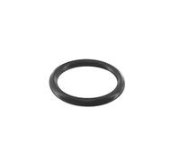 Greenstar Guarnizione carburatore 557851