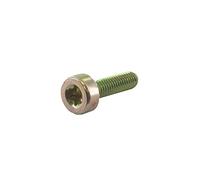 Greenstar Vite Torx M5x18mm adattabile STIHL 1 pezzo