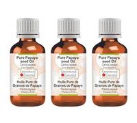 Greenwood Essential Pure Meadowfoam Seed Oil (Limnanthes Alba) 100% Natural Therapeutic Grade for Hair & Skin (Pack of Three) 100 ml x 3 (10 once)