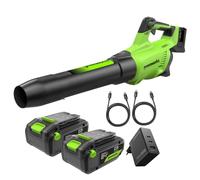 Greenworks