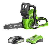 Greenworks 24 V 25 cm Motosega a Batteria, Velocità Catena 4,2 m/s, Lubrificazione Automatica (con 2 Ah Batteria e Caricabatteria)