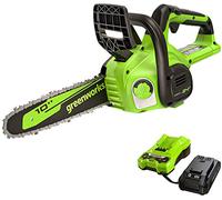 Greenworks 24V 25cm Motosega Elettrica a Batteria con Batteria da 2 Ah e Caricabatteria, Velocità Catena 4,3 m/s, Lubrificazione Automatica, Kit Motosega con Protezione Anti-Contraccolpo