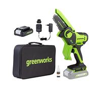 Greenworks 24V Mini motosega 10cm a batteria senza filo alimentata da una batteria da 2Ah, velocità della catena di 7,8 m/s, motosega elettrica per rami di alberi, cortile e uso domestico.