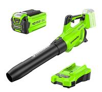 Greenworks 40V Soffiatore a Batteria, Velocità dell'aria 193 km/h, Volume d'aria 14,2 m³/min, Ugello Regolabile, Velocità Infinitamente Variabile (Con 2Ah Batteria e Caricabatterie)