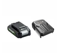 Greenworks Batteria 24V 2Ah agli Ioni di Litio e Caricabatterie Universale - per