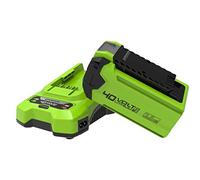 Greenworks Batteria 40 V 2.5 Ah G40B25 e Caricabatterie Universale G40UC, Li-Ion, Output 80 W/2 A, Adatto a Tutti Gli Attrezzi e Batterie Greenworks della Serie 40 V