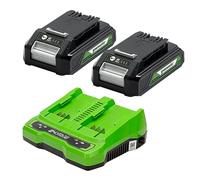 Greenworks Batterie 24V e Caricabatterie a Doppio Slot Originali Greenworks - 2 Potenti Batterie agli Ioni di Litio 2Ah e Caricabatterie, per Attrezzi da Giardino ed Utensili Greenworks 24V - GSK24B2X
