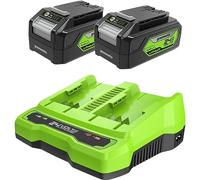 Greenworks Batterie 24V e Caricabatterie Doppio Slot G24B4 & G24X2C