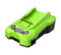 Caricabatterie universale Greenworks 2A 40V