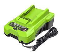 Greenworks Caricabatterie da 40 V (caricatore Greenworks originale)