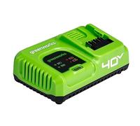 Greenworks Caricabatterie G40UC5 (Li-Ion 40 V, 5A, 30 minuti di tempo di ricarica con 2Ah (50 minuti con 4Ah) adatto a tutte le batterie della serie Greenworks Tools da 40V), Green, grey, black