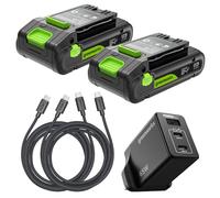Greenworks Confezione da 2 batterie USB-C ad alta potenza da 24 V 2 Ah e caricabatterie USB-C da 65 W e cavo da 100 W, batteria agli ioni di litio adatta per tutti i dispositivi 200+ Greenworks 24 V