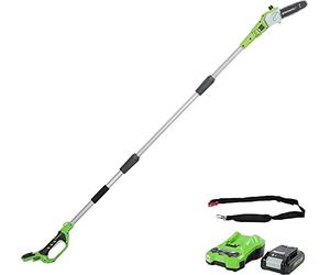 Greenworks G24PS20K2 Sega Potatrice telescopico a Batteria, Lunghezza Barra 8 Pollice (20cm), Velocità Catena 6,7m/s, 3,2kg, Asta 2,6m, Batteria 24V 2Ah e Caricabatterie, Garanzia 3 Anni