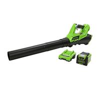 Greenworks G40ABK2 Souffleur à Batterie Axial de Feuilles Mortes Sans Fil, avec Régulateur de Vitesse, 177 km/h, 11,05 m³/min, Batterie 40V 2Ah et Chargeur, Garantie 3 Ans