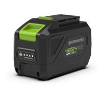 Greenworks G4824B5 - Batteria Dual Volt 48V/24V 5Ah/10Ah per Attrezzi da Giardin