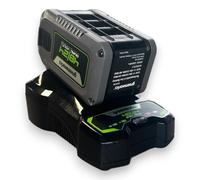 Greenworks G4824C4 - Caricabatterie Rapido 24V/48V 4A con Raffreddamento Integra