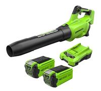 Greenworks GD40ABK2X Soffiatore Foglie Assiale a Batteria con Motore Brushless, 210km/h, 15,6m³/min, Due Batterie da 40V 2Ah e Caricabatterie, Garanzia 3 Anni