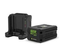 Mouse Greenworks 2933807 Nero
