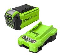 Greenworks Kit Batteria e Caricabatterie Universale - Batteria agli Ioni di Litio 2Ah + Caricabatterie 2A, Compatibile con Tutti gli Elettroutensili e Attrezzi da Giardino Greenworks 40V - GSK40B2