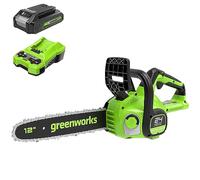 Greenworks Motosega a batteria con batteria da 24 V 2 Ah e caricabatterie, motore brushless, lunghezza lama da 30 cm, velocità della catena 7,8 m/s, sistema a olio automatico, protezione contraccolpo
