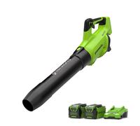 Greenworks GD40ABK2X Soffiatore Foglie Assiale a Batteria con Motore Brushless, 210km/h, 15,6m³/min, Due Batterie da 40V 2Ah e Caricabatterie, Garanzia 3 Anni