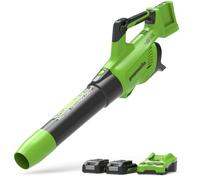 Greenworks Soffiatore Senza Fili 2x24V con 2 Batterie 2Ah e Caricatore 2A