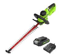 Greenworks Tagliasiepi a Batteria 24 V G24HT56II, Lama Doppia Azione da 56 cm, Taglia Rami e Steli fino a 25.4 mm di Spessore e 3000 SPM con Batteria 2 Ah & Caricabatterie