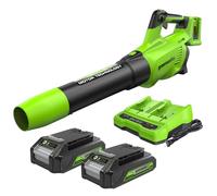 Greenworks 48V(2x24V) Soffiatore Foglie Assiale a Batteria con Motore Brushless, Funzione Turbo, 217km/h, 16,4m³/min, CON 2 Batterie 24V 2Ah e Caricabatterie, Garanzia 3 Anni GD24X2ABK2X
