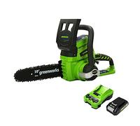 Greenworks Tools Batteria Motosega a Catena G24CS25K2 Li-Ion 24 V, 4 m/s Velocità della Catena, 25 cm Lunghezza Spada, 50 ml Volume del Serbatoio dell'Olio, Incluso Batteria 2 Ah e Caricabatterie