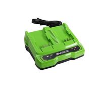 Greenworks Tools Caricabatterie Universale G24X2UC2 a Doppio Slot, Uscita Li-Ion 24 V 48W, Adatta a Tutte le Batterie della Serie Greenworks 24 V