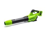 Greenworks Tools Ventola assiale a batteria 48V (2 x 24V) soffiatore per fogliame con Turbo Buton (velocità massima del vento 225 km/h), senza batterie e caricatore