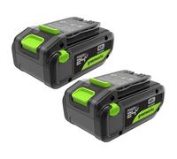 Greenworks TwinPack 24V 4Ah Batteria Ricaricabile ad Alta Potenza USB-C Batteria Li-Ion Compatibile con Tutti gli oltre 200 Dispositivi Greenworks 24V, 2 anni di garanzia - K2D8NNA