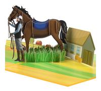GREETING ART Biglietto pop-up Biglietto regalo di compleanno 3D per cavalli per cavalieri - Biglietto d'auguri divertente per gli amanti dei cavalli - Regalo in denaro o buono per lezioni di equitazio