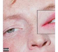 Greeting Committee - Dandelion [VINYL]