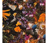 greetings from earth