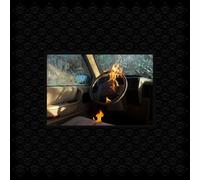 Dulli Greg Random Desire CD Digipak Nuovo Sigillato