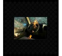 Greg Dulli - Random Desire (Indies) (Clear Coloured) (LP)