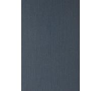 Gregory Ference The Portrayal of Czechoslovakia in the Americ (Copertina rigida)