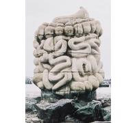 Grégory Gicquel Danie Le pied, le pull-over et le système di (Copertina rigida)