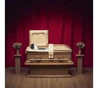 <![CDATA[Gregory Pepper And His Prob... - No Thanks (LP)]]>