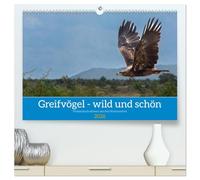 Greifvögel - wild und schön (hochwertiger Premium Wandkalender 2026 DIN A2 quer), Kunstdruck in Hochglanz: Greifvögel in ihrer natürlichen Umgebung