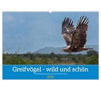 Greifvögel - wild und schön (Wandkalender 2026 DIN A2 quer), CALVENDO Monatskalender: Greifvögel in ihrer natürlichen Umgebung