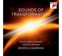 Greilsammer David - Sounds Of Transformation