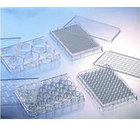 Greiner 662950-005 Bio-One - Piastra in polistirolo a 24 pozzi, con rivestimento e coperchio in collagene tipo I, fondo piatto, stile camino, confezione da 5